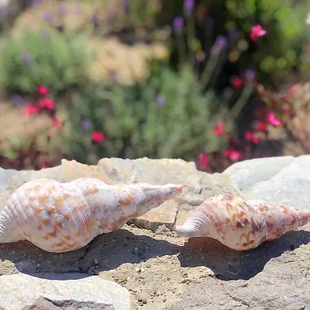 Thera Incognita Lägenhet Perissa (Santorini)