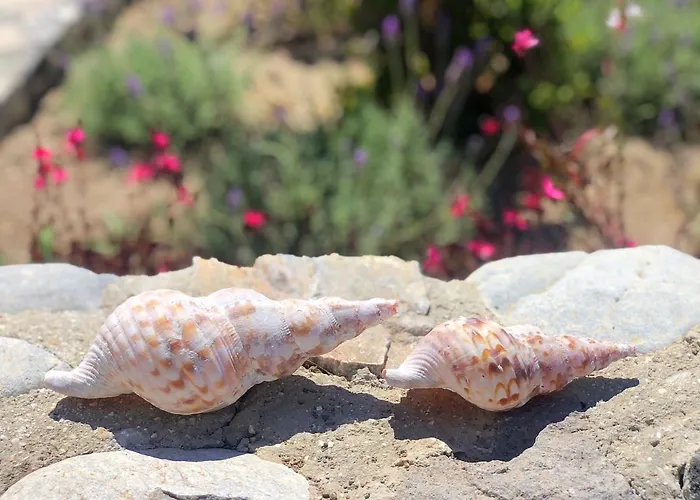 Thera Incognita Lägenhet Perissa (Santorini)